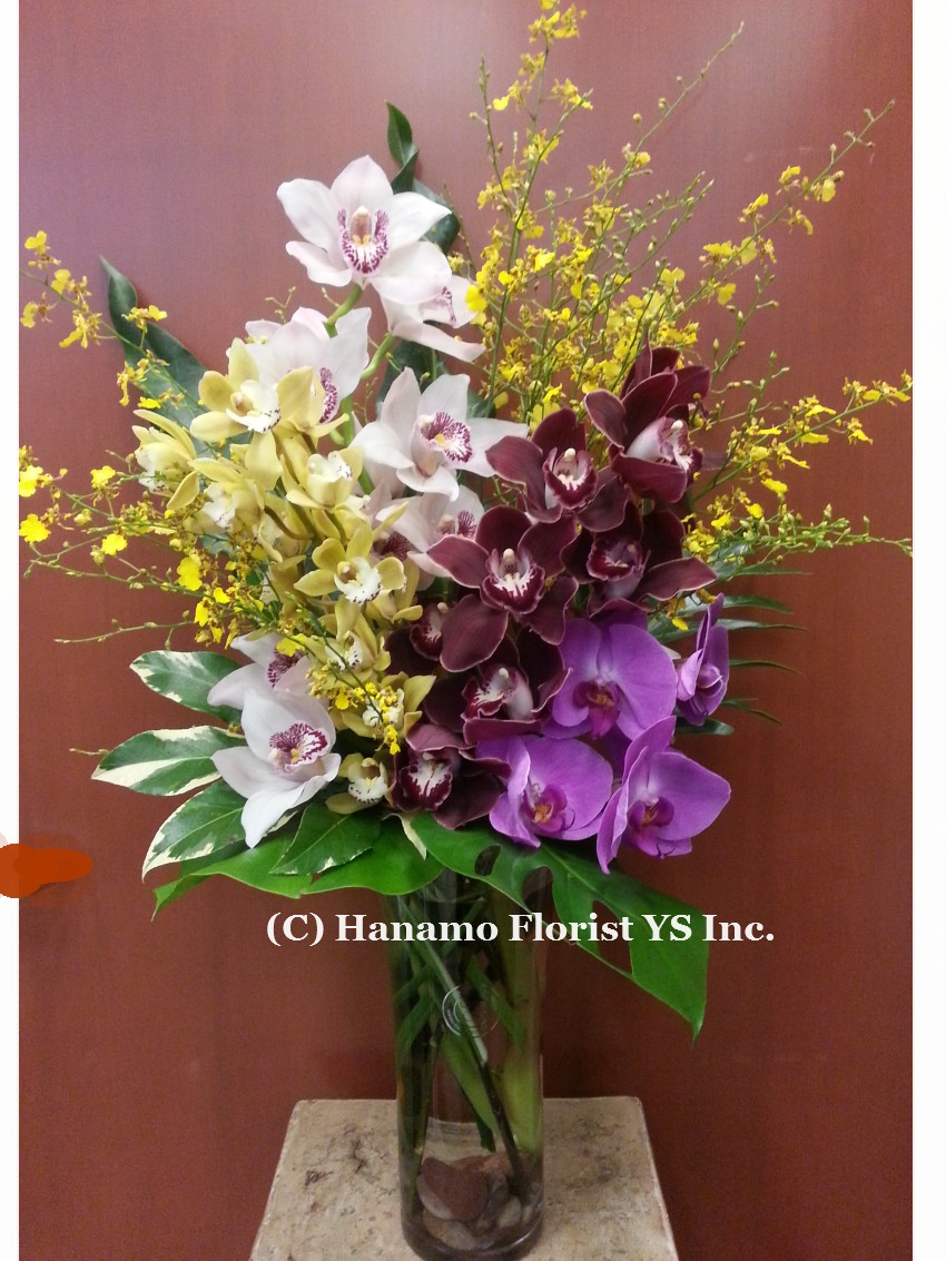 VALE316 Design by Yuka : Assorted Premium Orchids in a Vase