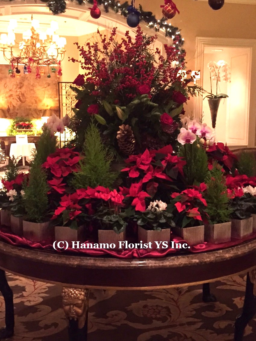 CMAS20152 Christmas arrangement display