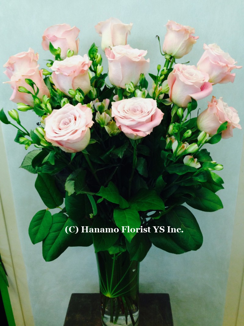 ROSE404 1 doz Premium Ecuadorian Pink Rose in Vase