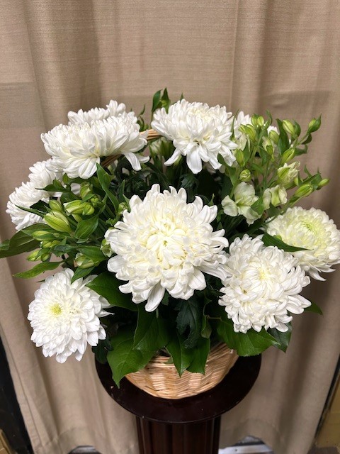 SYMP1209 Large White Mums Arrangement in Basket Or Ceramic Pot