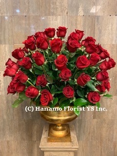 ROSE504 100 Roses arrangement in rental pot