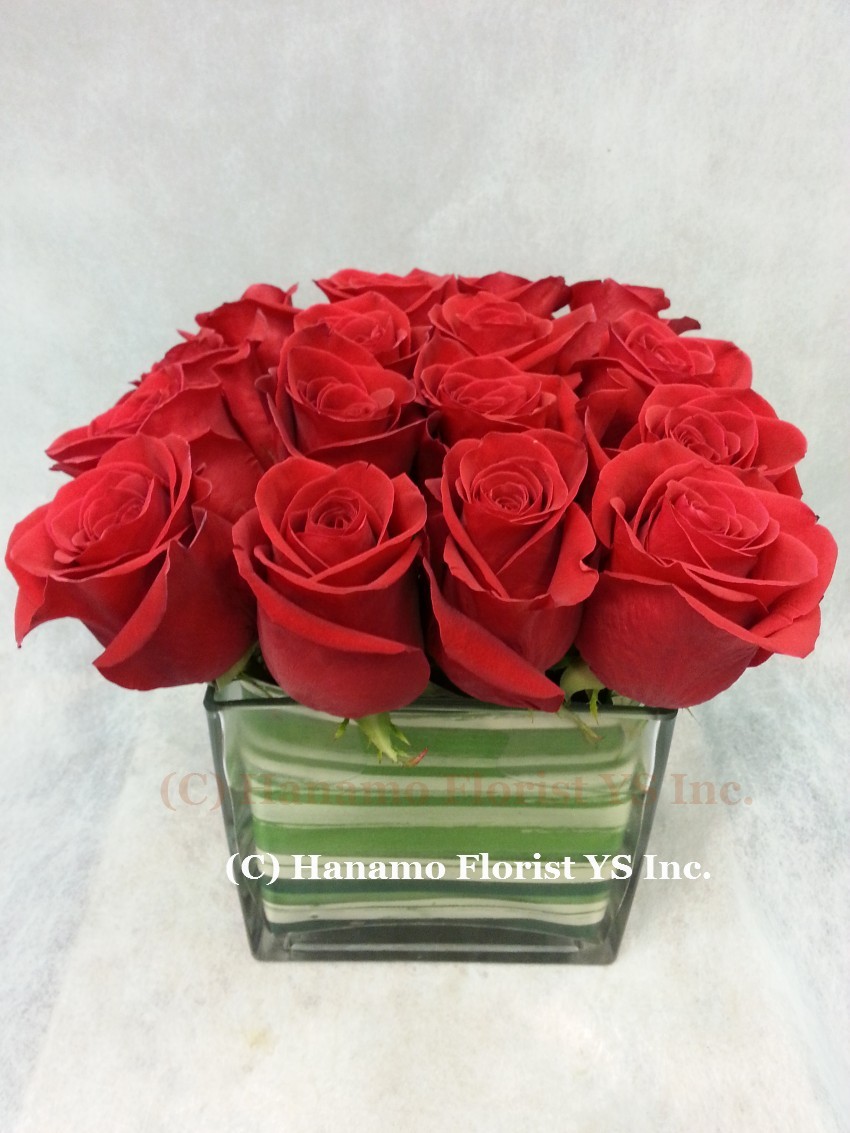 ROSE930  Fresh Equadorian Red Roses in 6 inch Cube