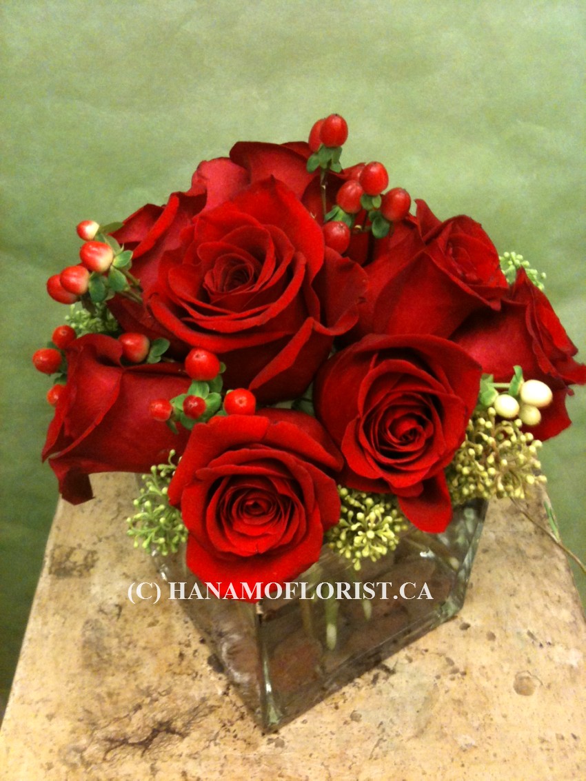 VALE808 9 Red Roses in 5" Cube Vase Posy
