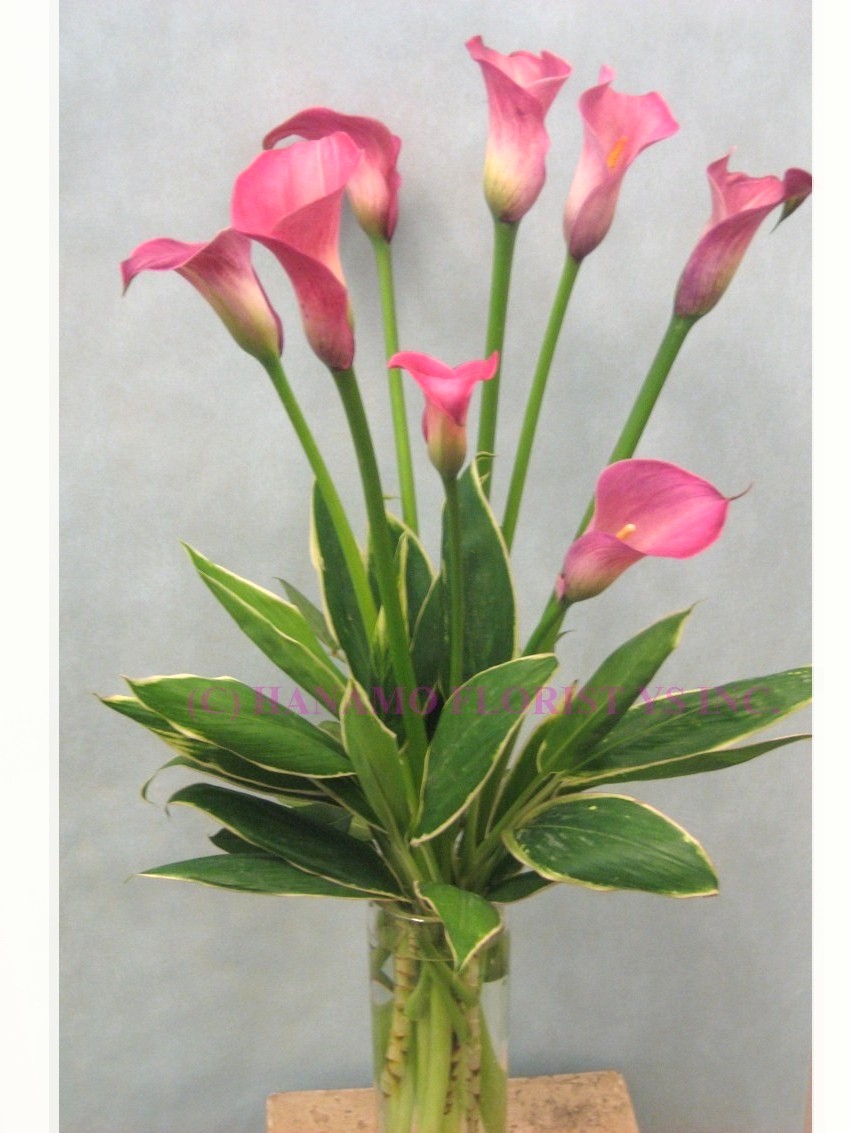 VASE Arrangement : Hanamo Florist Online Store, Vancouver, BC, Canada ...